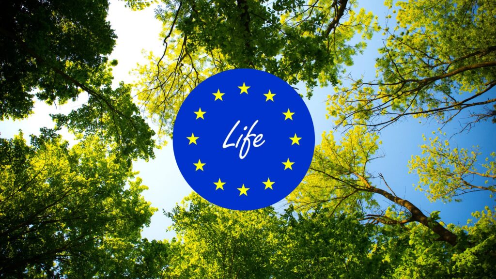 Programma Life 2023: i bandi per per ambiente, clima, transizione energetica e economia circolare