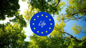 Programma Life 2023: i bandi per per ambiente, clima, transizione energetica e economia circolare
